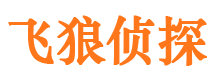 保亭市婚外情调查